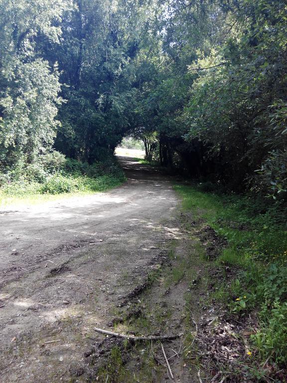 Pension Vilanova Sigueiro Exteriér fotografie